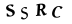 Captcha field